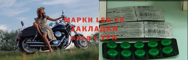 мяу мяу мука Баксан
