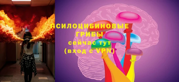 мяу мяу мука Баксан