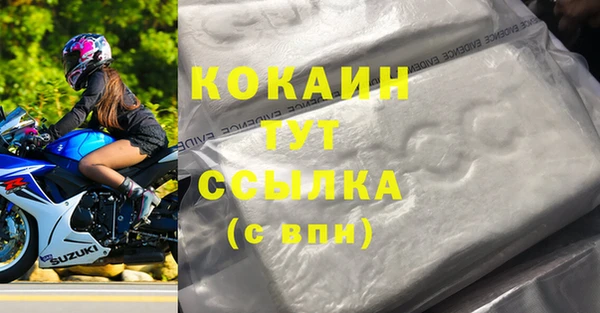 мяу мяу мука Баксан